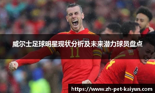 威尔士足球明星现状分析及未来潜力球员盘点